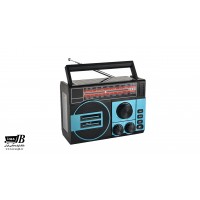 اسپیکر بلوتوث رادیویی رم و فلش epe FP-259BT-S+چراغ قوه