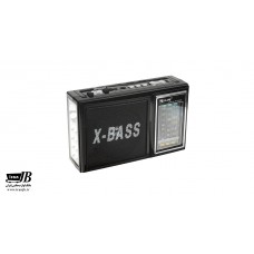 اسپیکر رادیویی رم و فلش GOLON RX-166LED